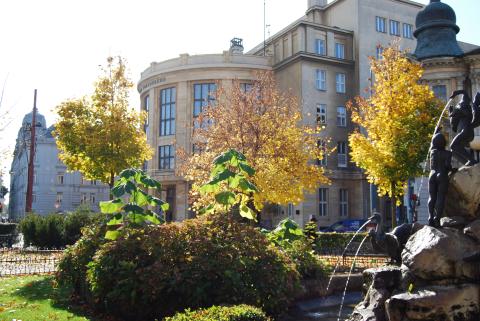 Университет Коменского в Братиславе - Univerzita Komenského v Bratislave - 3