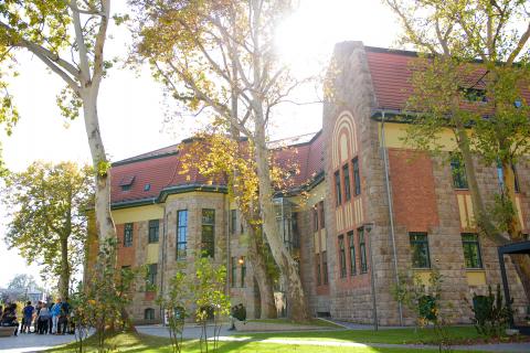 Международная школа бизнеса в Будапеште- International Business School Budapest - 4