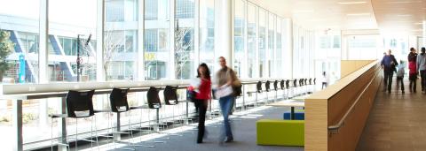 Колледж Хамбер - Humber College - 2