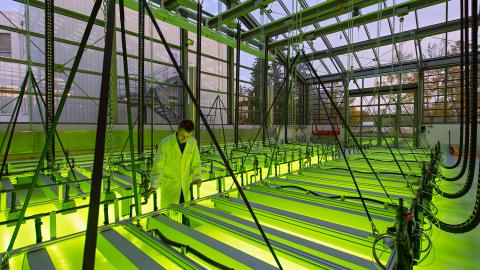 Мюнхенский технический университет - Technische Universität München - 6