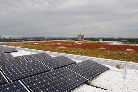 Колледж Хамбер - Humber College - 6