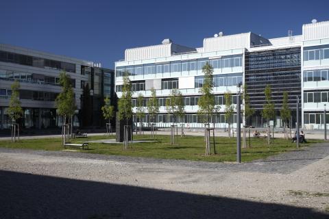 Университет Йоханнеса Гутенберга в Майнце - Johannes Gutenberg-Universität Mainz - 2