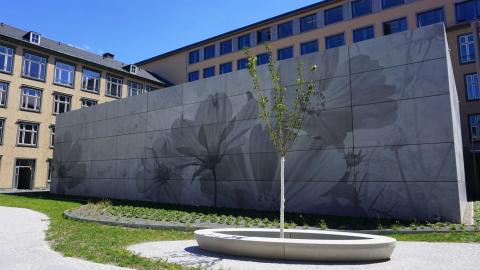 Дрезденский технический университет - Technische Universität Dresden - 2