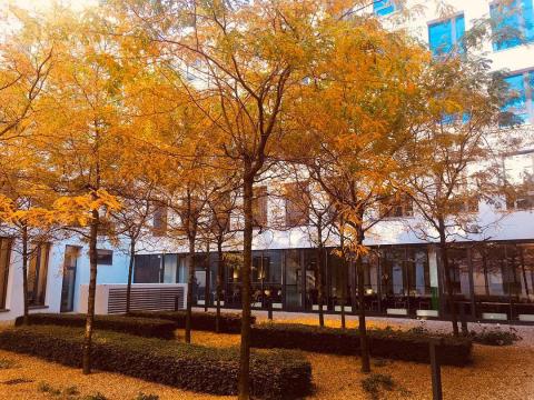 Бизнес школа EU - 2