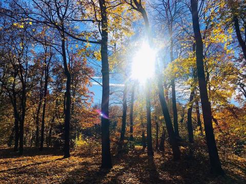 Бизнес школа EU - 3