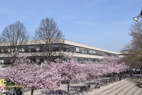 Гёттингенский университет — Georg-August-Universität Göttingen - 4