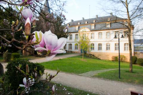 Школа менеджмента Отто Бейсхайма - WHU – Otto Beisheim School of Management - 2