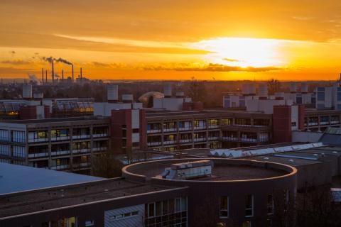 Университет Дюссельдорфа им. Генриха Гейне - Heinrich-Heine-Universität Düsseldorf - 5