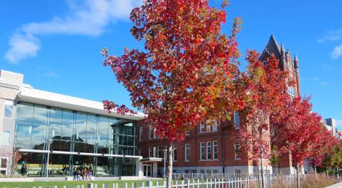 Университет Куинс - Queen's University - 5