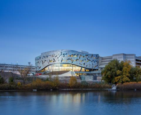 Йоркский университет - York University - 5