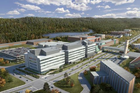 Мемориальный университет Ньюфаундленда - Memorial University of Newfoundland - 5