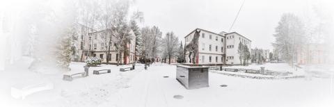 Университет ветеринарной медицины и фармацевтики в Кошицах - Univerzita veterinárneho lekárstva v Košiciach - 3