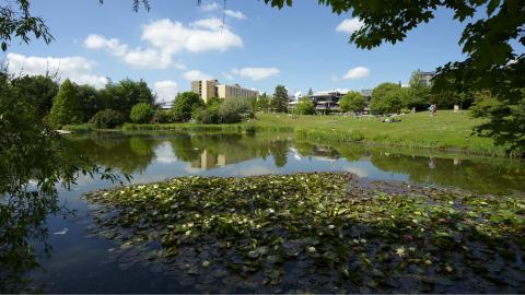 Университет Бата - University of Bath - 3