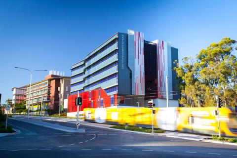 Университет Гриффита - Griffith University - 2
