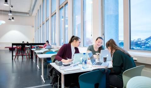 Университетский колледж Кристиании - Kristiania University College - 2