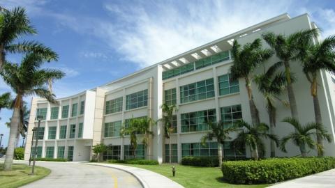 Флоридский Атлантический Университет - Florida Atlantic University - 2