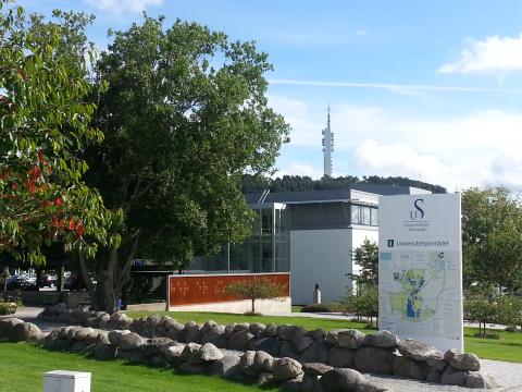 Университет Ставангера - Universitetet i Stavanger - 2