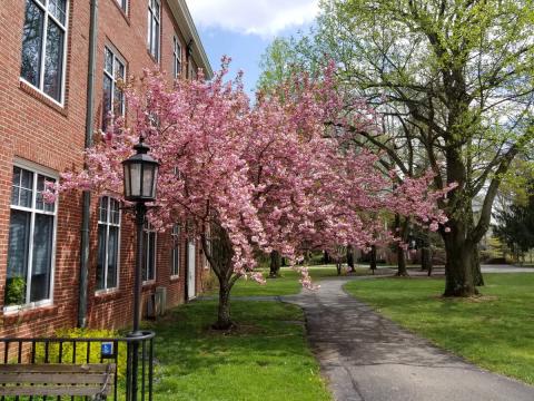 Ганновер колледж - Hanover College - 3