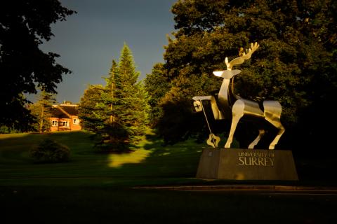 Университет Суррея - University of Surrey - 3