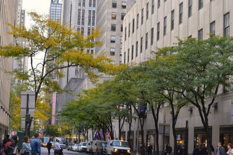 Колледж LIM - LIM College - 3