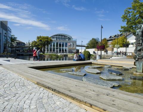 Колледж сельского хозяйства и сельского развития - Høgskulen for landbruk og bygdeutvikling - 4