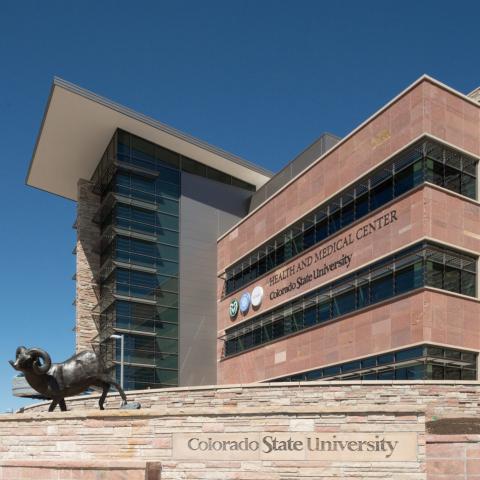 Колорадский государственный университет - Colorado State University - 2