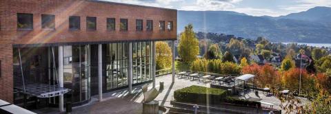 Университет Юго-Восточной Норвегии - University of South-Eastern Norway - 3