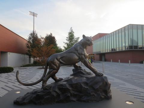 Университет Адельфи - Adelphi University - 5