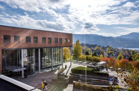 Университет Юго-Восточной Норвегии - University of South-Eastern Norway - 4