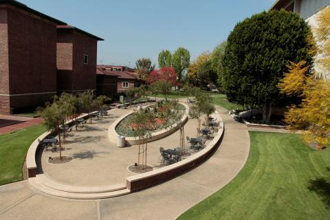 Калифорнийский институт продвинутого менеджмента - California Institute of Advanced Management - 5