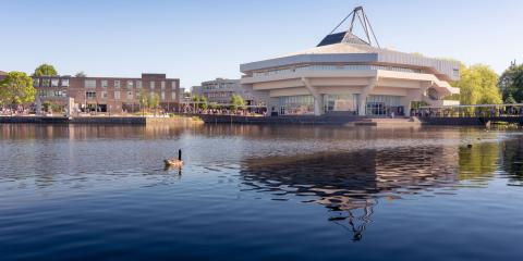 Университет Йорка - University of York - 5