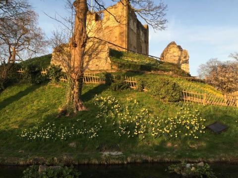 Университет Суррея - University of Surrey - 2