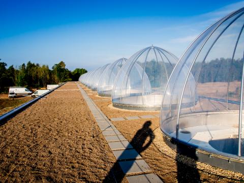 Университет Хасселт - Universiteit Hasselt - 2