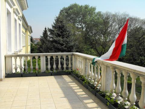 Колледж Томори Пал - Tomori Pál College - 2