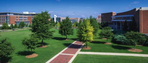 Университет Алабамы в Бирмингеме - University of Alabama at Birmingham - 2