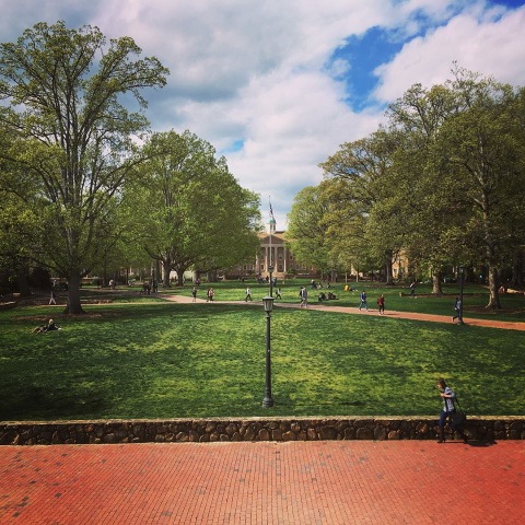 Братиславская международная школа либеральных искусств - BISLA - Bratislava International School of Liberal Arts - 3