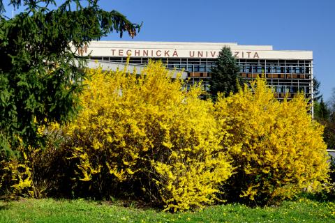 Технический университет в Зволене - Technická univerzita vo Zvolene - 1