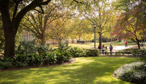 Университет Южной Каролины - University of South Carolina - 4