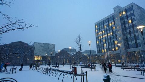 Университет прикладных наук Западной Норвегии - Western Norway University of Applied Sciences - 3