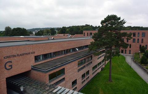Университет Агдера - Universitetet i Agder - 4