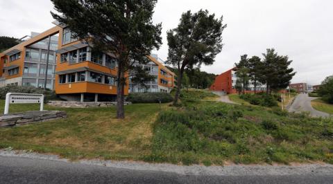 Специализированный университет логистики Университетский колледж Молде - Høgskolen i Molde - 3