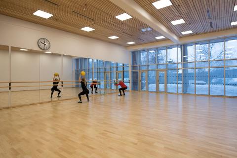 Норвежская спортивная академия - Norges idrettshøgskole - 3