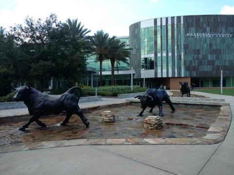 Университет Южной Флориды - University of South Florida - 5