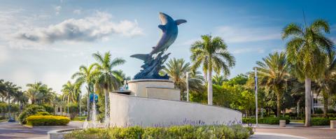 Ново-юго-восточный университет - Nova Southeastern University - 5