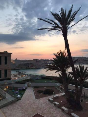 Институт туризма Мальты - Institute of Tourism Malta - 2