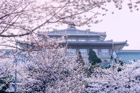 Уханьский университет - Wuhan University - 3
