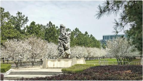 Университет Тунцзи - Tongji University - 3