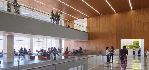 Университет Дружбы в Дубае - Amity University Dubai - 2