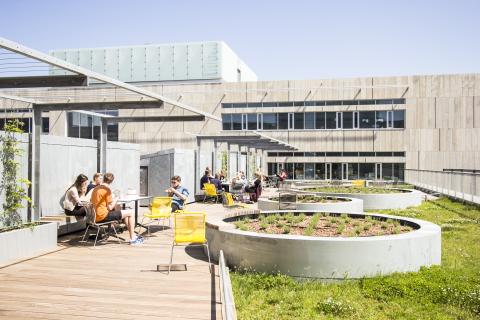 Копенгагенский университет - Københavns Universitet - 3