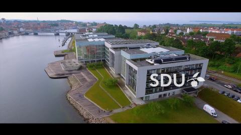Университет Южной Дании - University of Southern Denmark - 6